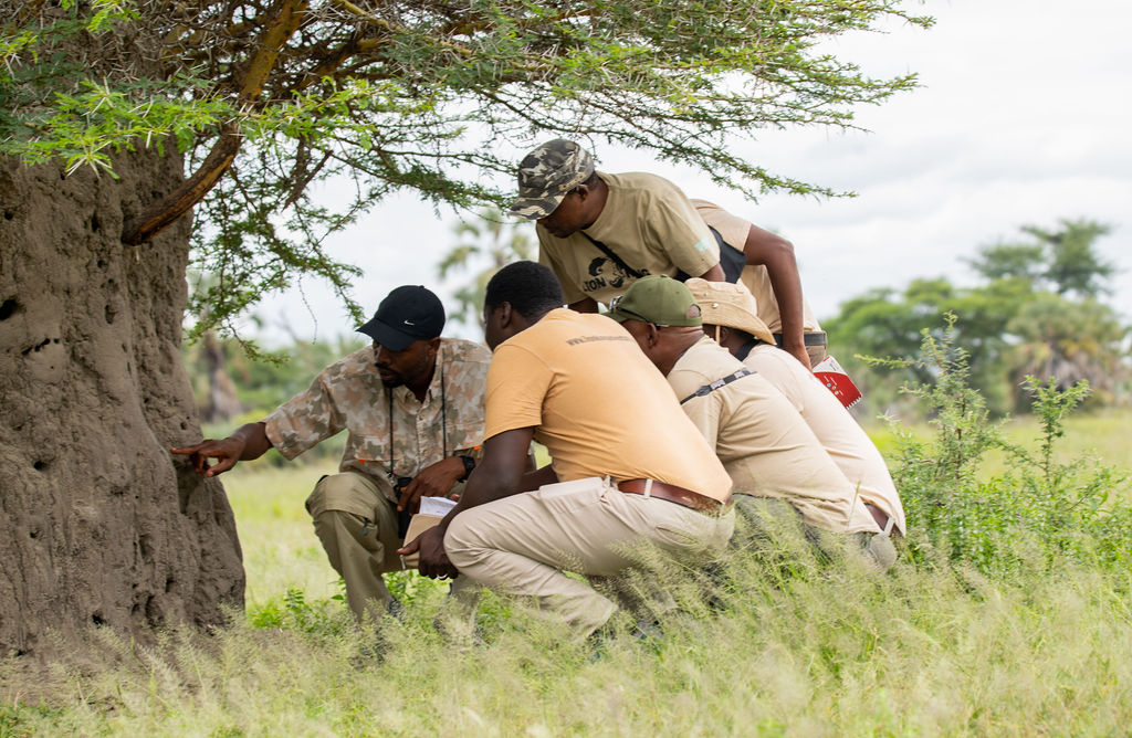 Traveller’s Choice Tours and Safaris